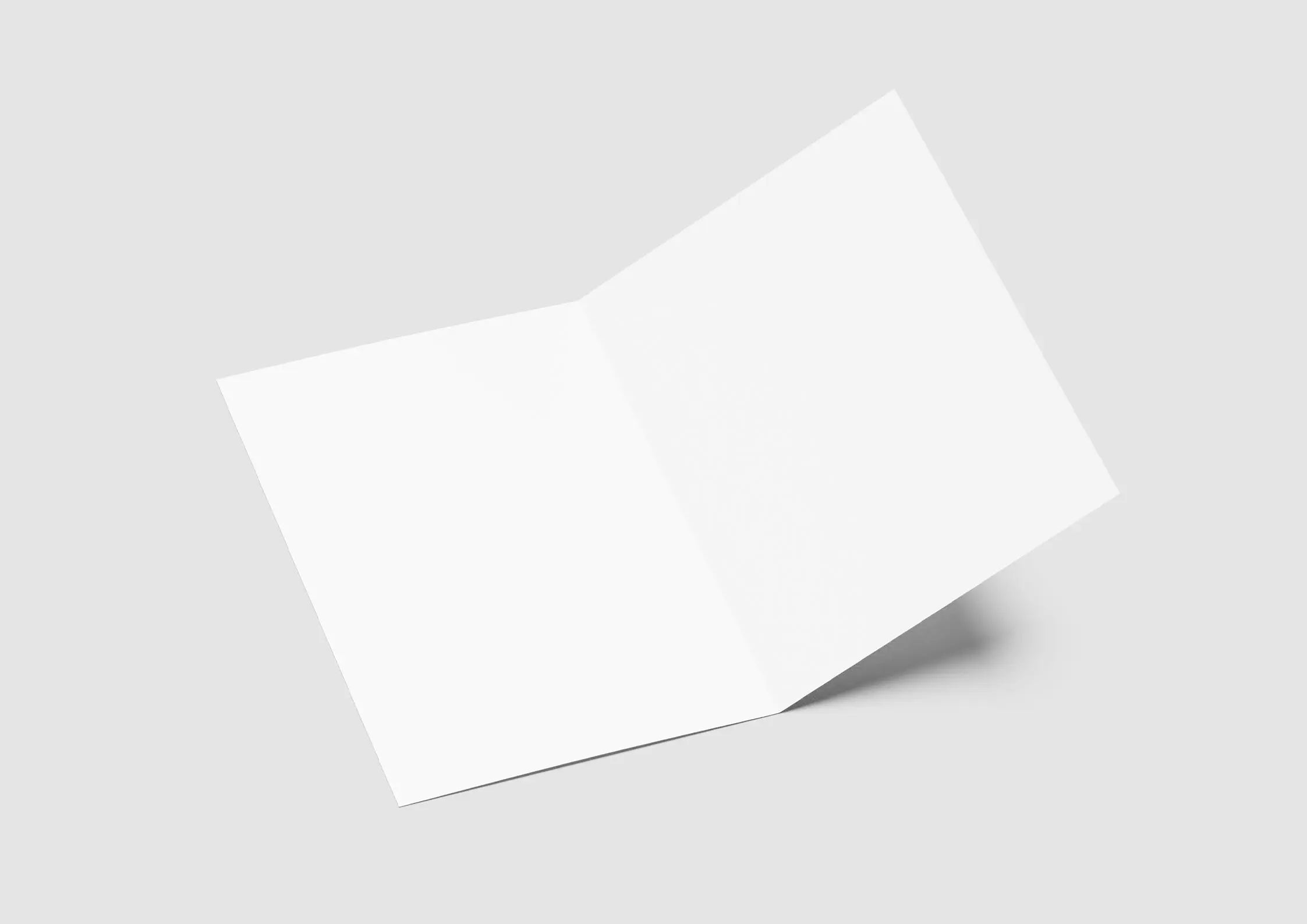 Single Fold Brochures